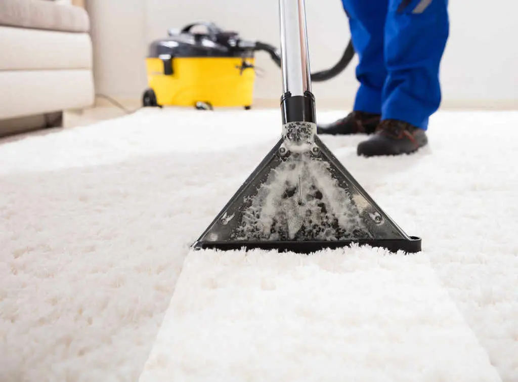 Carpet shampooing