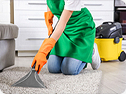 Eco-Friendly Carpet Cleaner